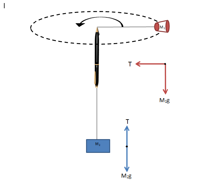 Physics pendulum lab report
